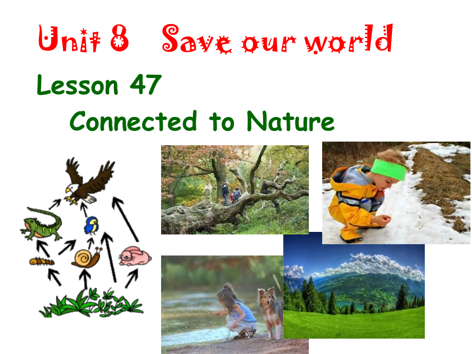 Lesson47ConnectedtoNature.ppt_第1页