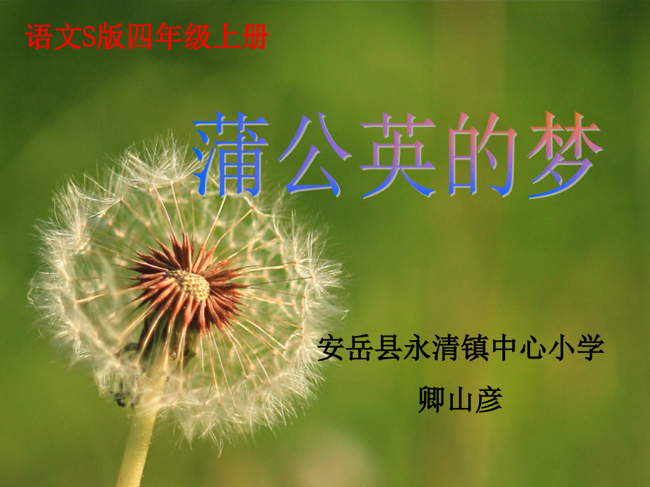 《蒲公英的梦》.ppt_第1页