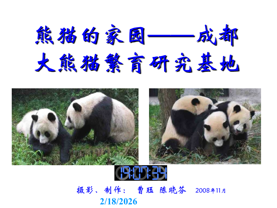 成都熊猫基地【wq发】.ppt_第1页
