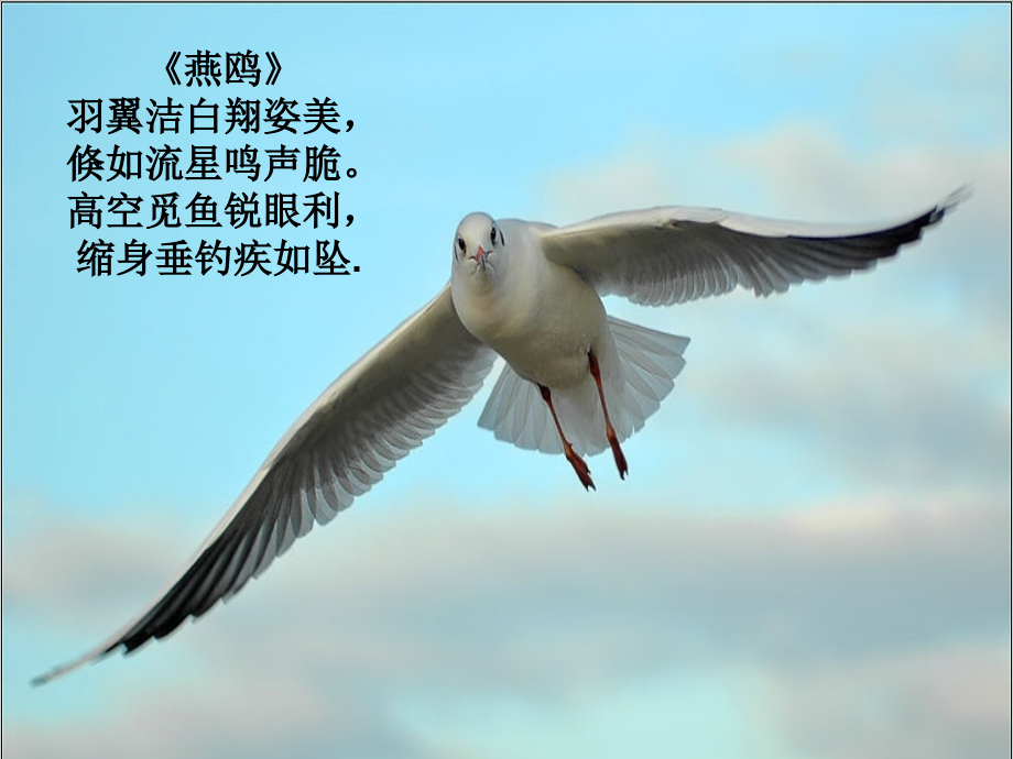 正比例课件hao.ppt_第2页