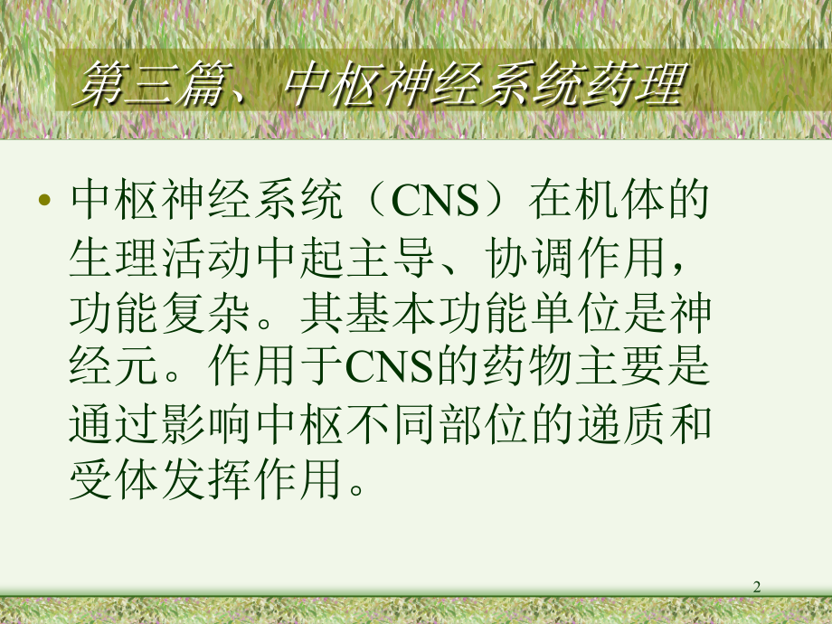 药理学第十一章全身麻醉药.ppt_第2页