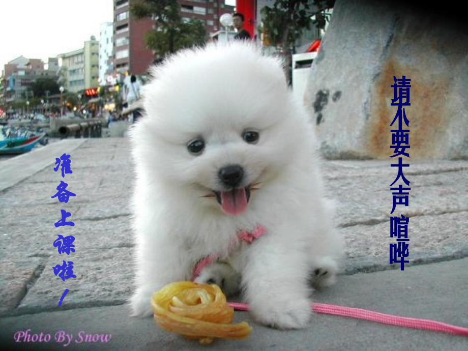 高中语文雷雨 ppt4 课件.ppt_第1页