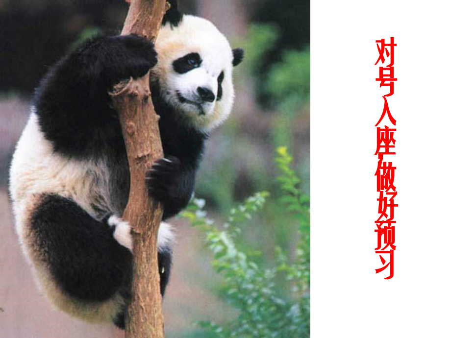 高中语文雷雨 ppt4 课件.ppt_第2页