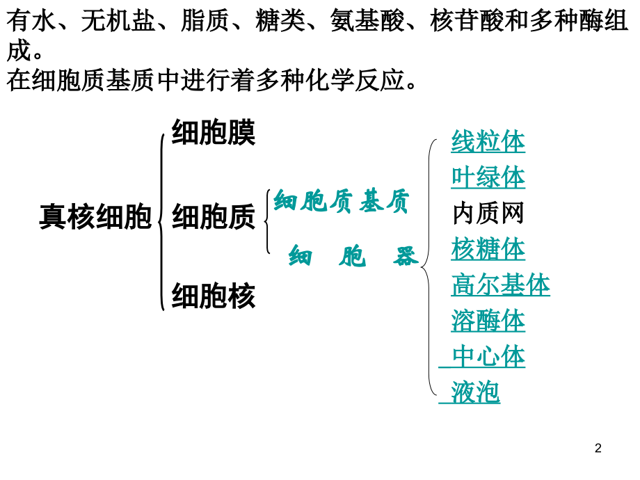 细胞器——细胞内的分工合作1.ppt_第2页