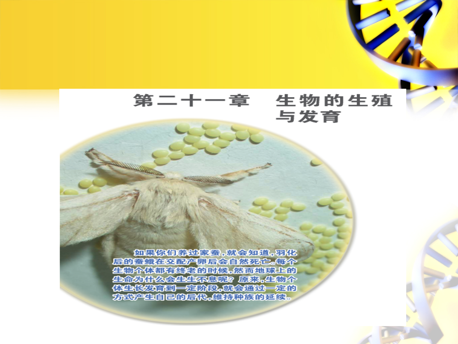 第一节生物的无性生殖.ppt_第1页