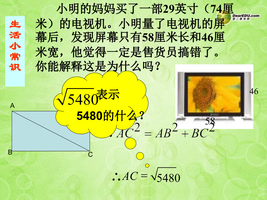 浙江省泰顺县罗阳二中八年级数学下册 1.1 二次根式课件 浙教版 课件.ppt_第1页