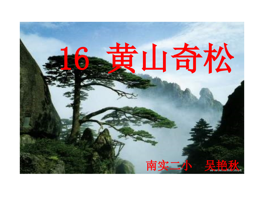 黄山奇松-(3).ppt_第1页