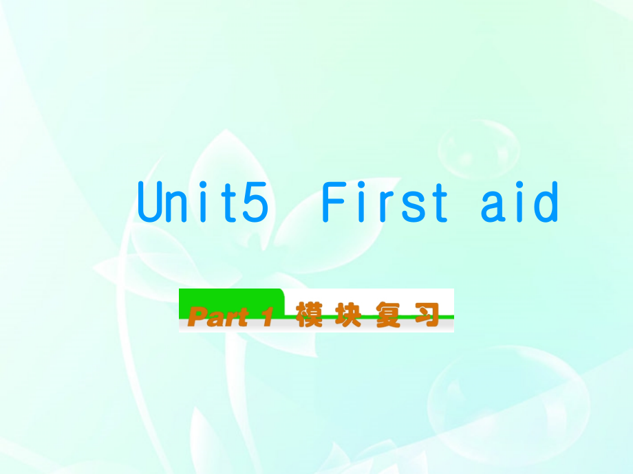 高中英语总复习 Unit5　First aid(1)课件 新人教版必修5 课件.ppt_第1页