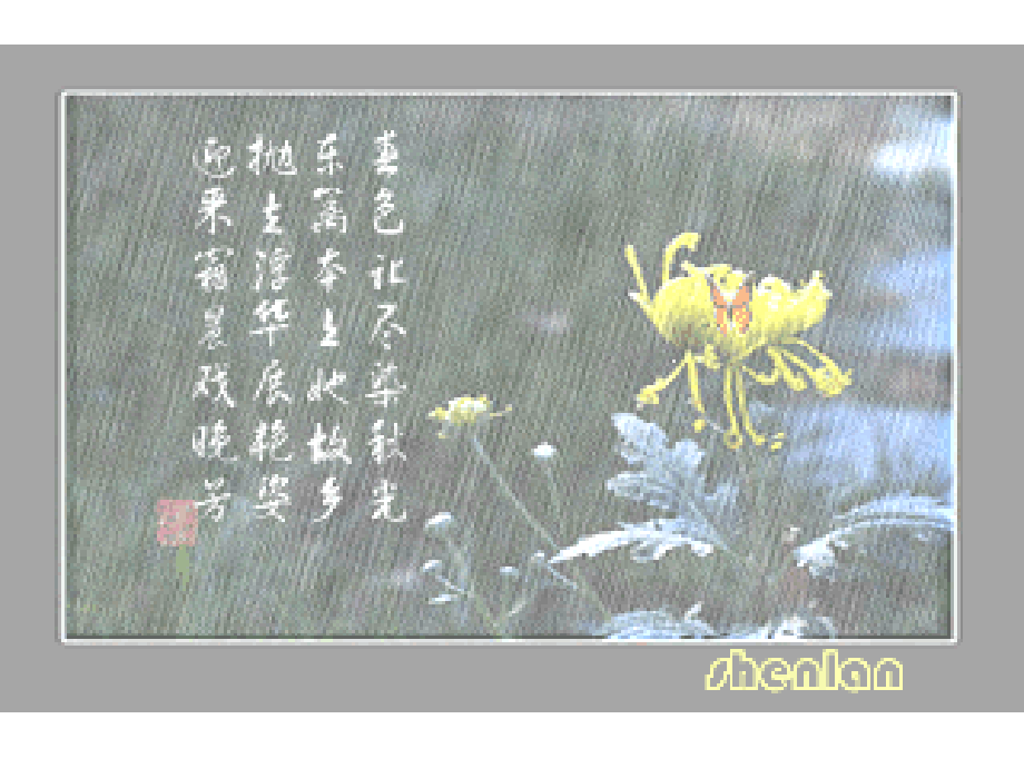 高一物理《自由落体运动》课件.ppt_第2页