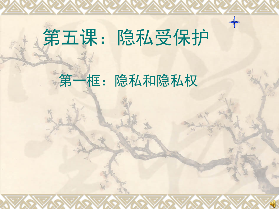 第五课-隐私受保护13.ppt_第1页
