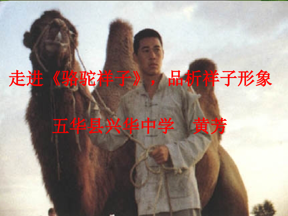 拉不完的苦难拉不动的黑暗——祥子的命运.ppt_第1页