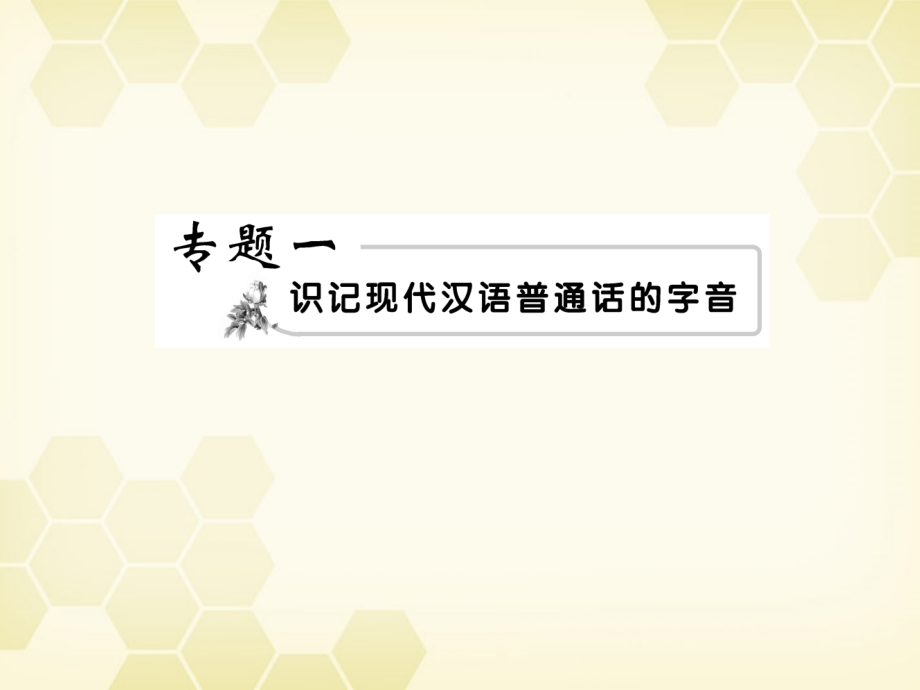 高考语文一轮复习 识记现代汉语普通话的字音课件 粤教版 课件.ppt_第2页