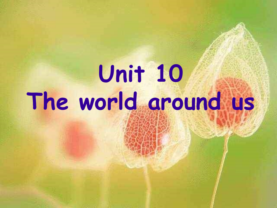 高中英语第一册Unit10 The world around usppt 课件.ppt_第1页
