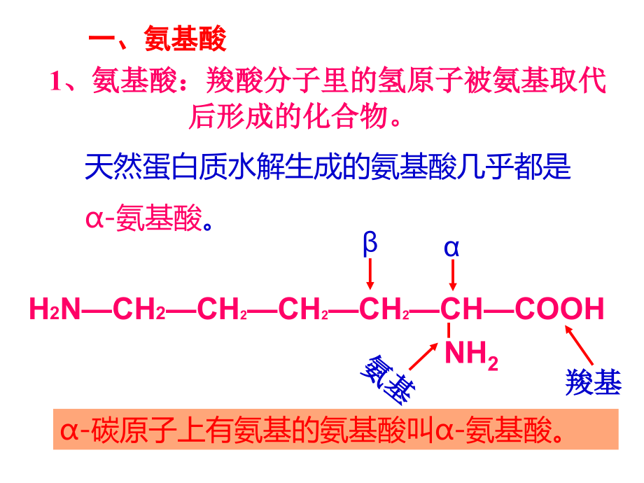 蛋白质和核酸》课件(新人教选修.ppt_第2页