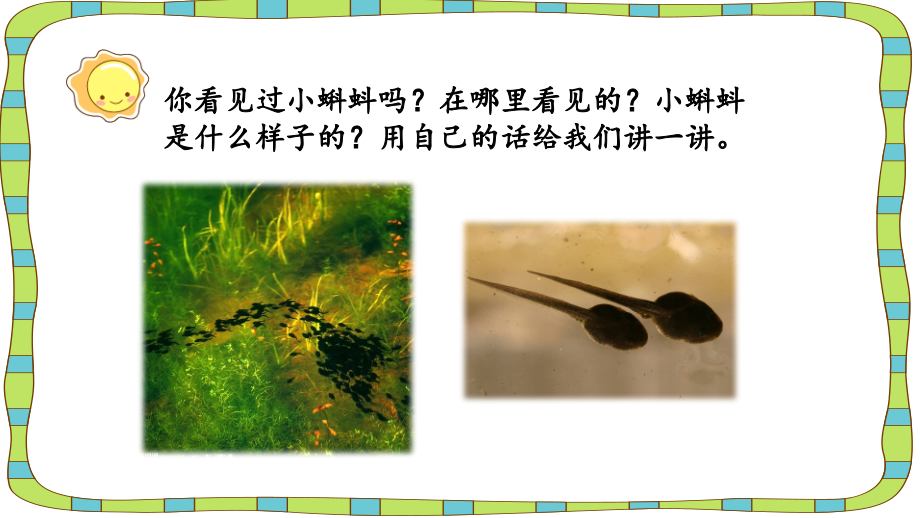 部编版二年级语文上册《小蝌蚪找妈妈》公开课件.ppt_第2页