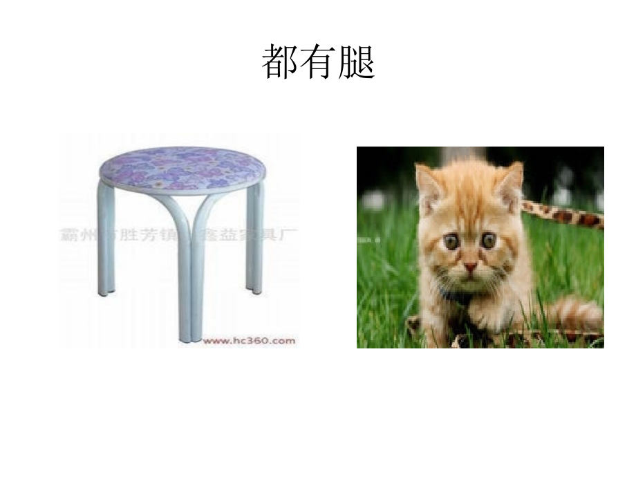 凳子和猫课件.ppt_第2页