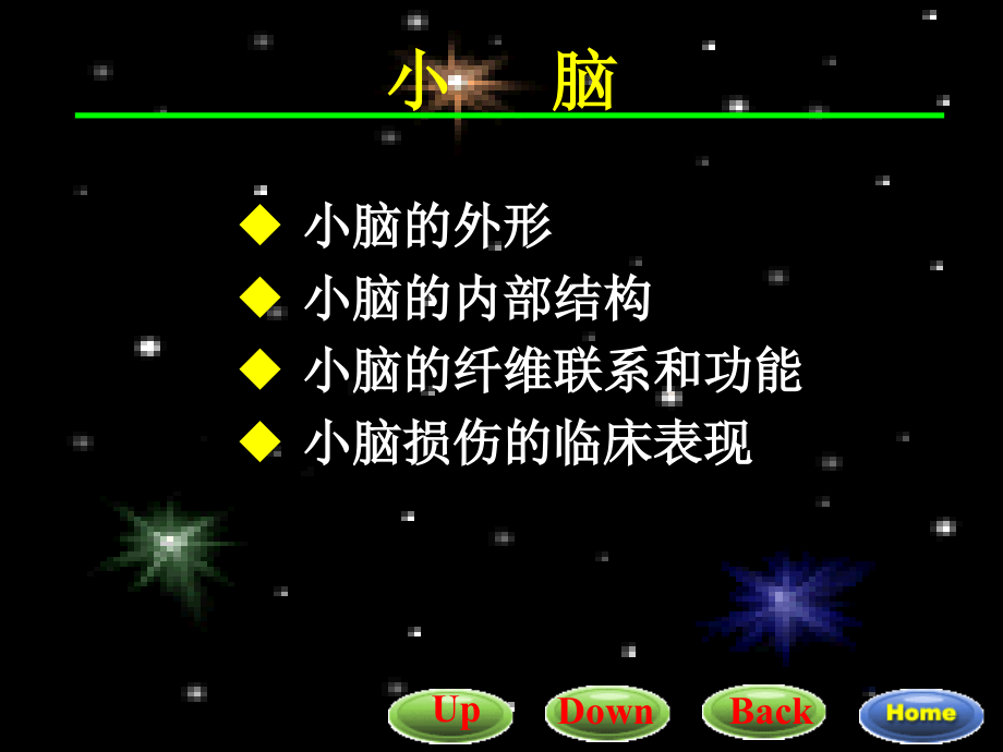 小脑间脑(0001).ppt_第1页