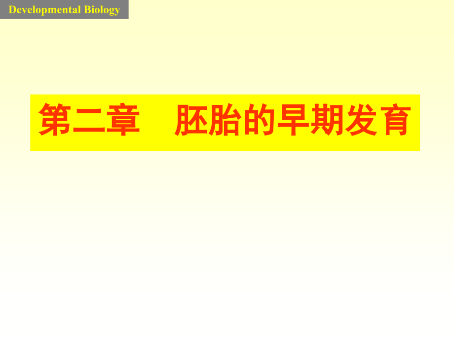发育生物学2cleavage.ppt_第1页