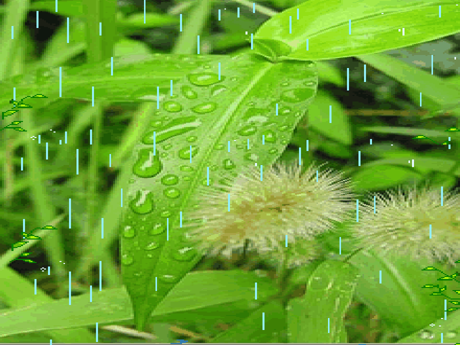 《春雨的色彩》课件4.ppt_第2页