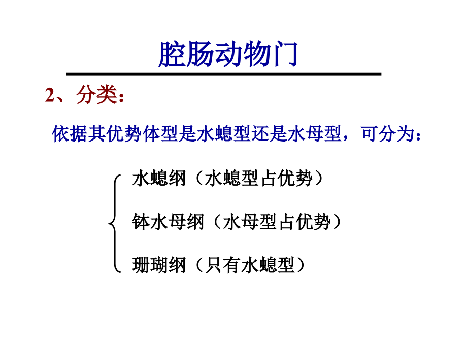 动物学第二讲课件.ppt_第2页