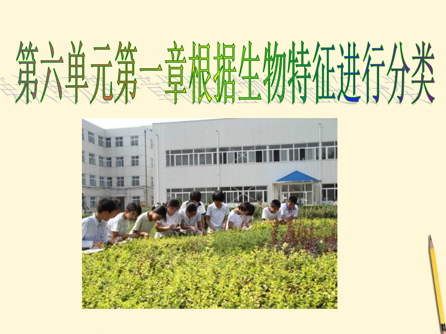 江西省萍乡四中八年级生物上册 第六单元第一章根据生物的特征进行分类尝试对生物进行分类课件.ppt_第1页