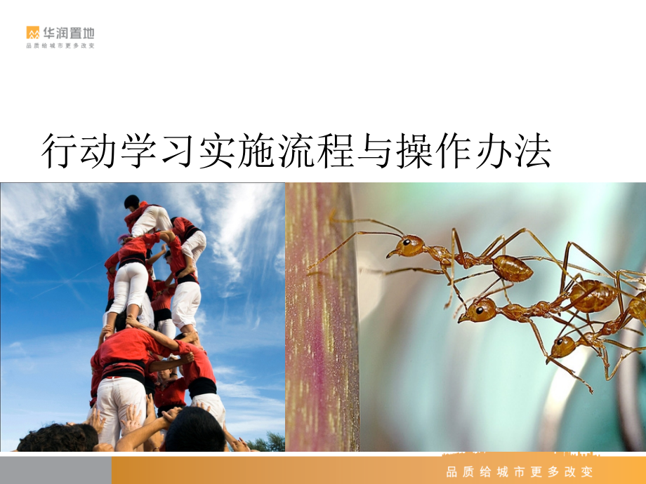 行动学习方法.ppt_第1页