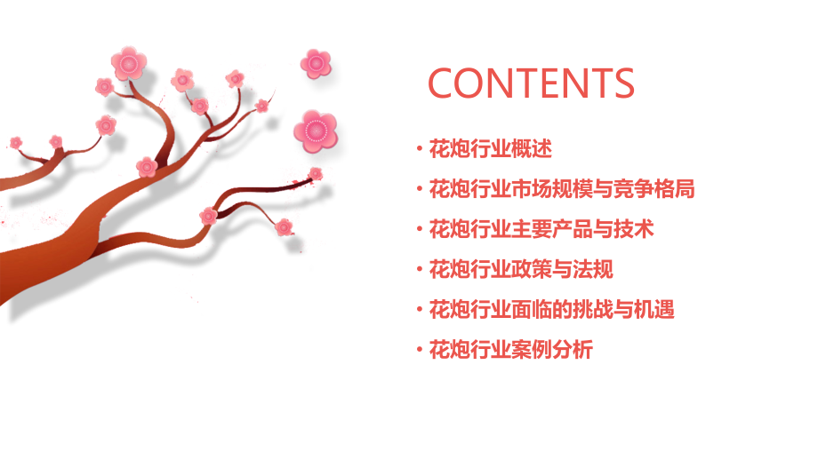 花炮行业报告.pptx_第2页