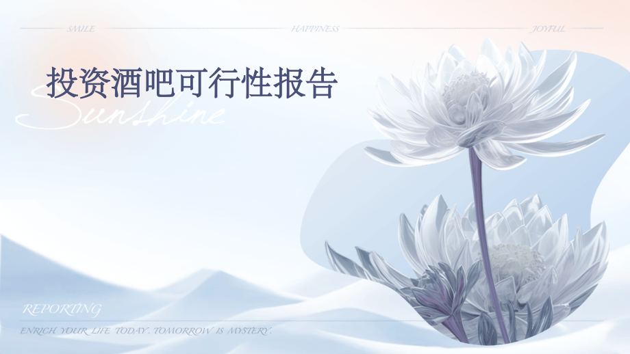 投资酒吧可行性报告.pptx_第1页