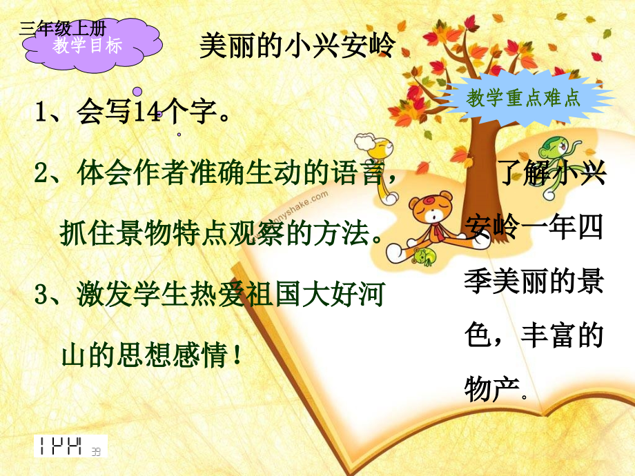 美丽的小兴安岭-(3).ppt_第1页