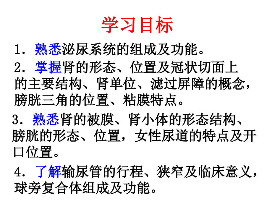 人体解剖学第六章泌尿系统.ppt_第1页