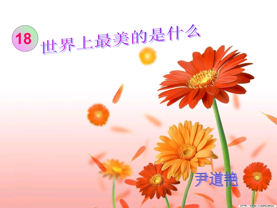 《世界上最美的是什么》课件.ppt_第1页