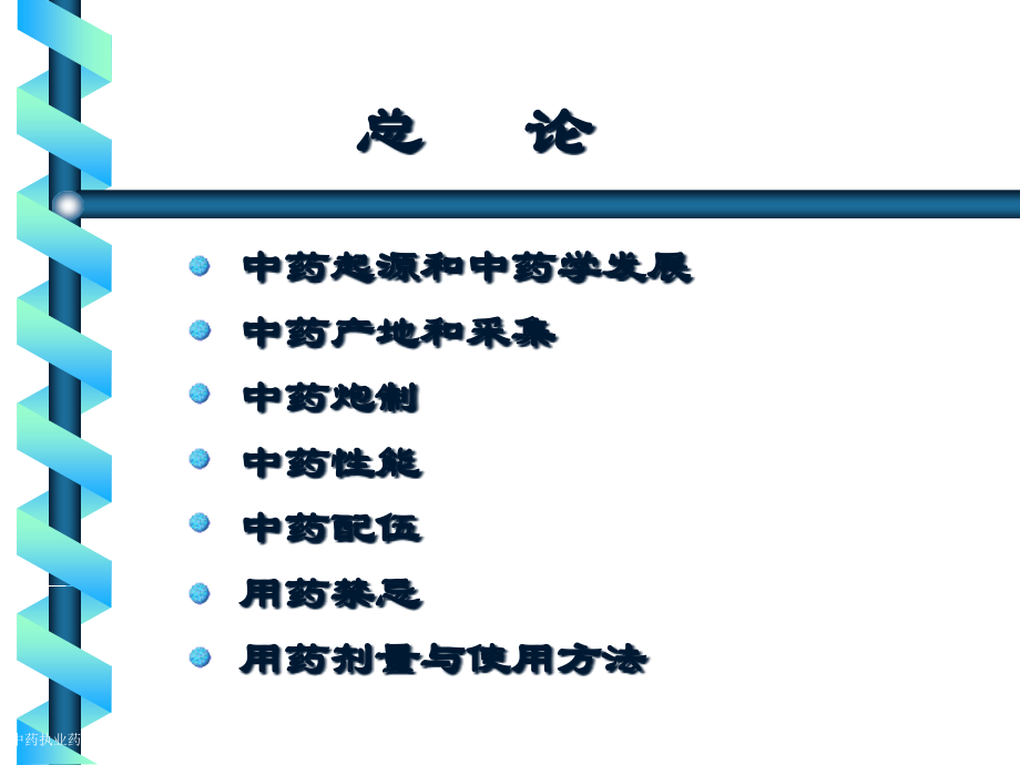 中药执业药师中药学总论专家讲座.pptx_第2页
