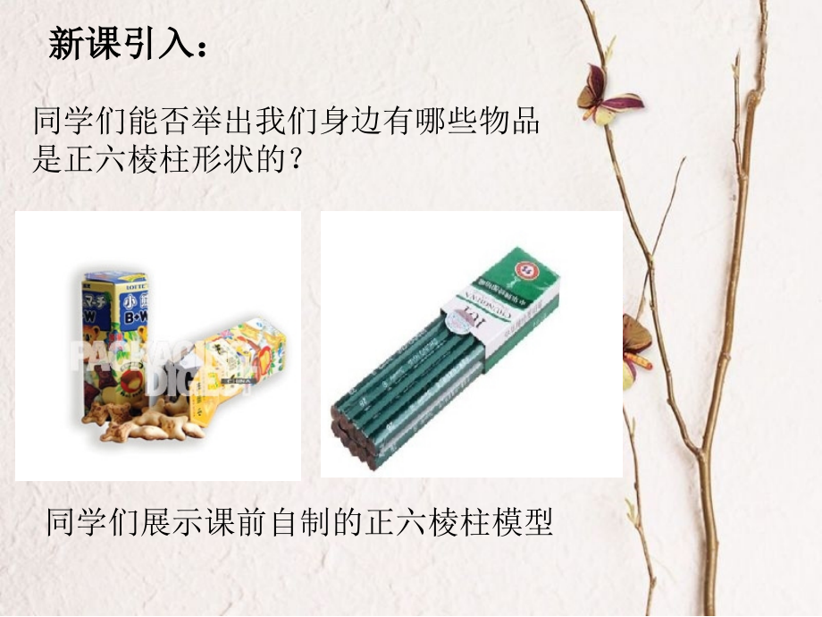 基本几何体六棱柱.ppt_第2页