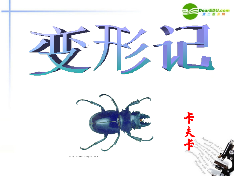 高中语文(变形记)课件3 沪教版第二册) 课件.ppt_第1页