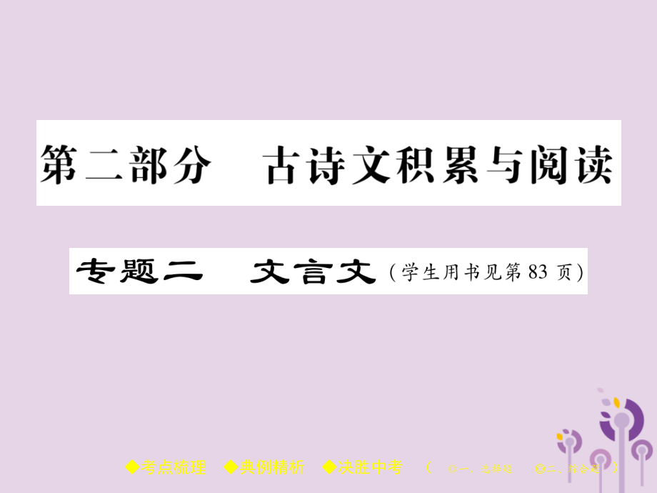 中考语文复习 第二部分 古诗文积累与阅读 专题二 文言文(二)(河中石兽)课件.pptx_第1页