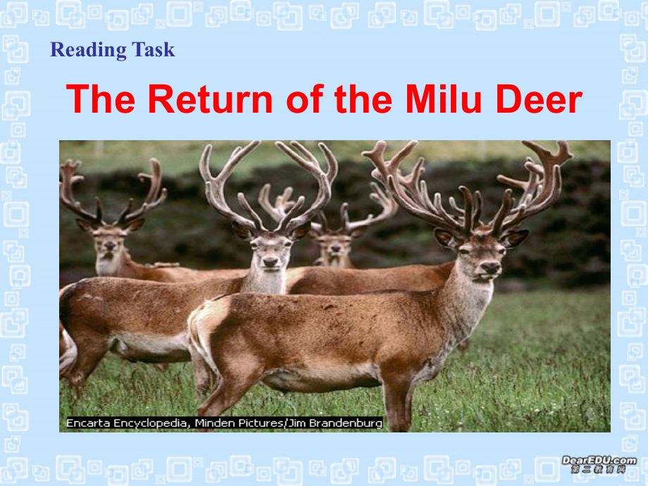 M2 Unit4 reading taskP5 高一英语Unit4全单元课件[整理五个]新课标 人教版.ppt_第2页