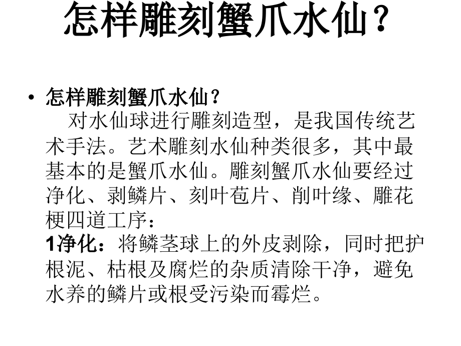 水仙花艺术造型知识讲座sjm.ppt_第1页