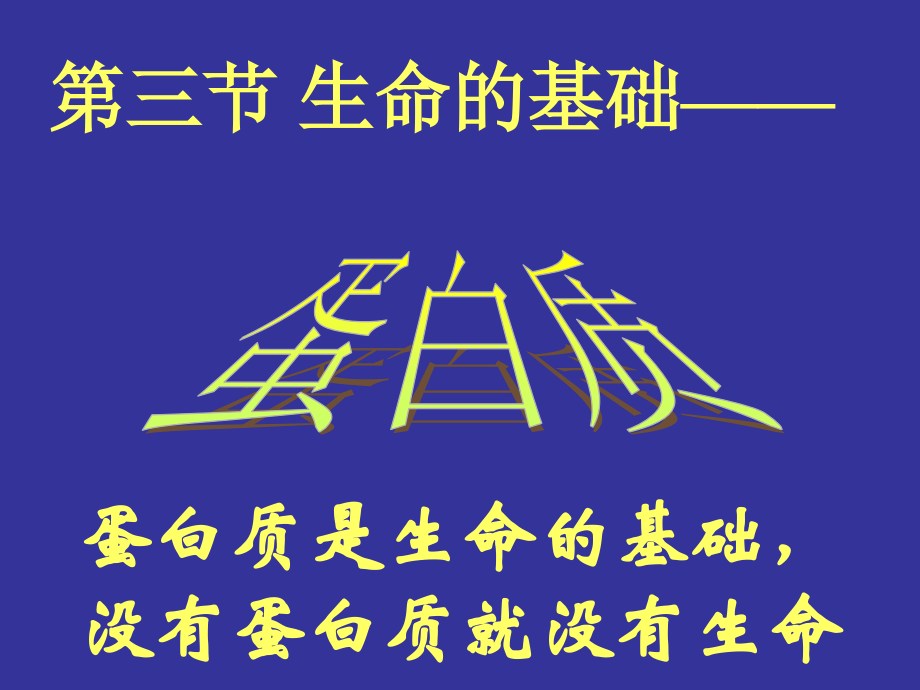 第三节生命的基础－蛋白质.ppt_第1页