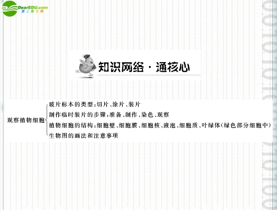 (随堂优化训练)七年级生物上册 第二单元 第一章 第二节 观察植物细胞配套课件 人教新课标版 课件.ppt_第2页