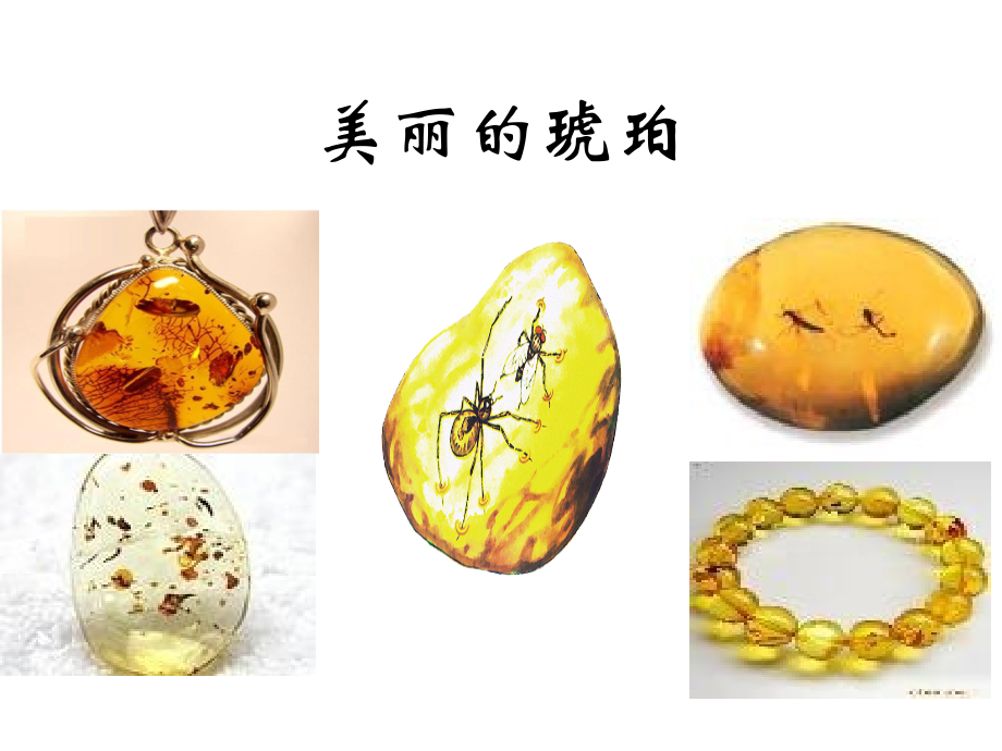 《琥珀》课件(1).ppt_第2页