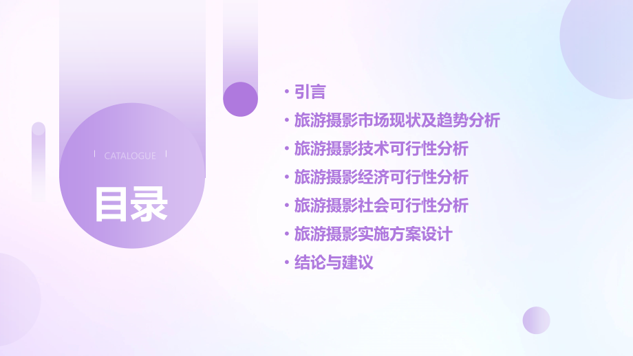 旅游摄影可行性分析报告.pptx_第2页