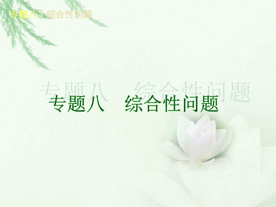 (河北专用)中考数学复习方案-专题八-综合性问题课件-新人教版.ppt_第1页