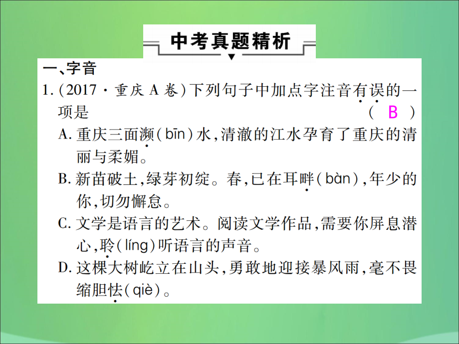 中考语文复习 第一部分 语文知识及运用 专题一 字音、字形课件.ppt_第2页