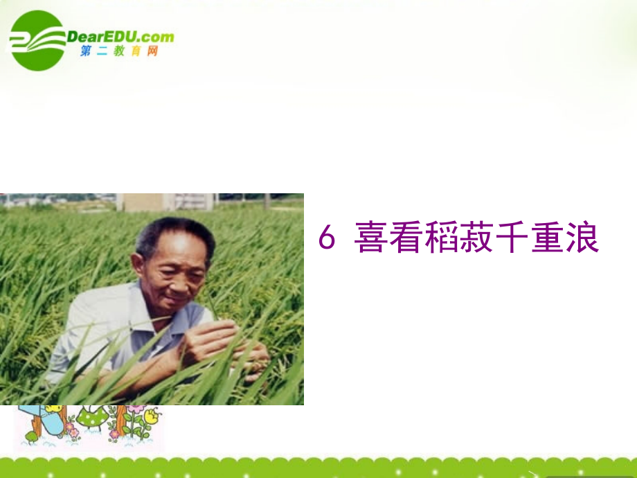 高中语文 第六课(喜看稻菽千重浪)课件 粤教版必修5 课件.ppt_第1页