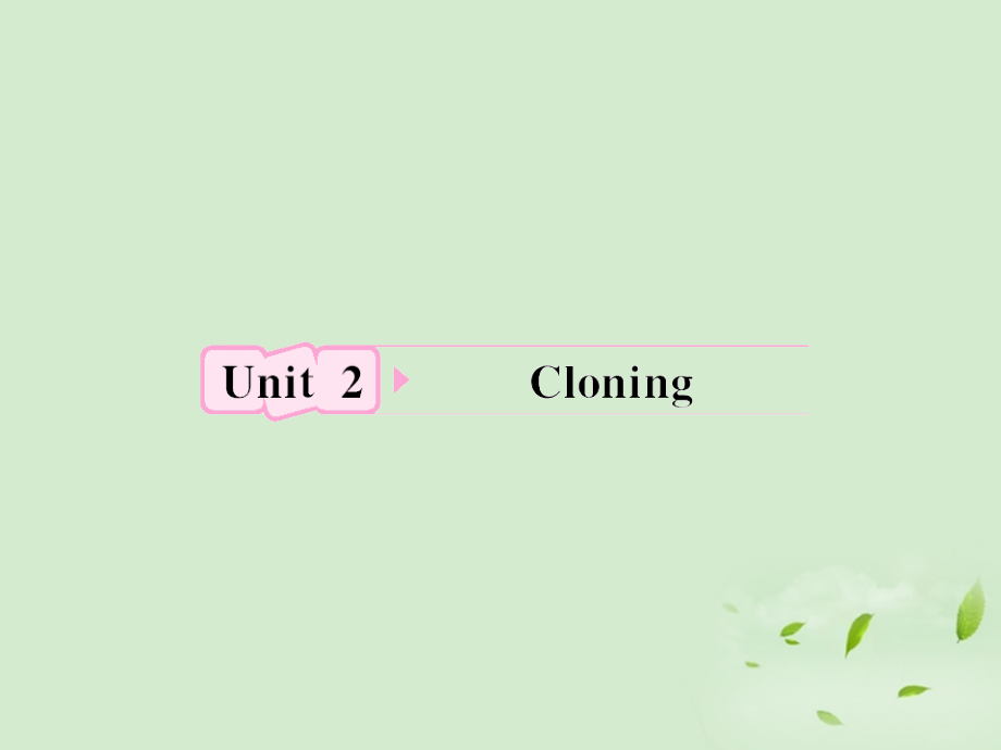 高考英语 Unit2知识与要点课件 新人教版选修8 课件.ppt_第1页