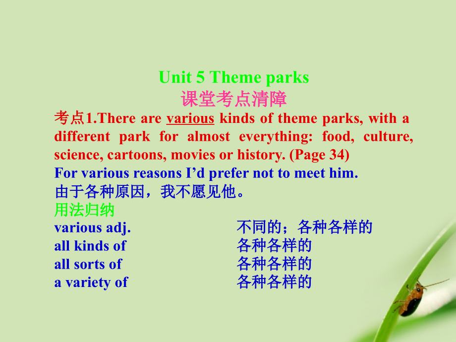 高考英语一轮复习 Unit-5Theme parks课件 新人教版必修4 课件.ppt_第1页