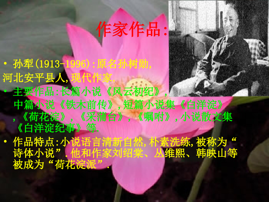 高中语文(荷花淀)课件 鲁教版必修2 课件.ppt_第2页