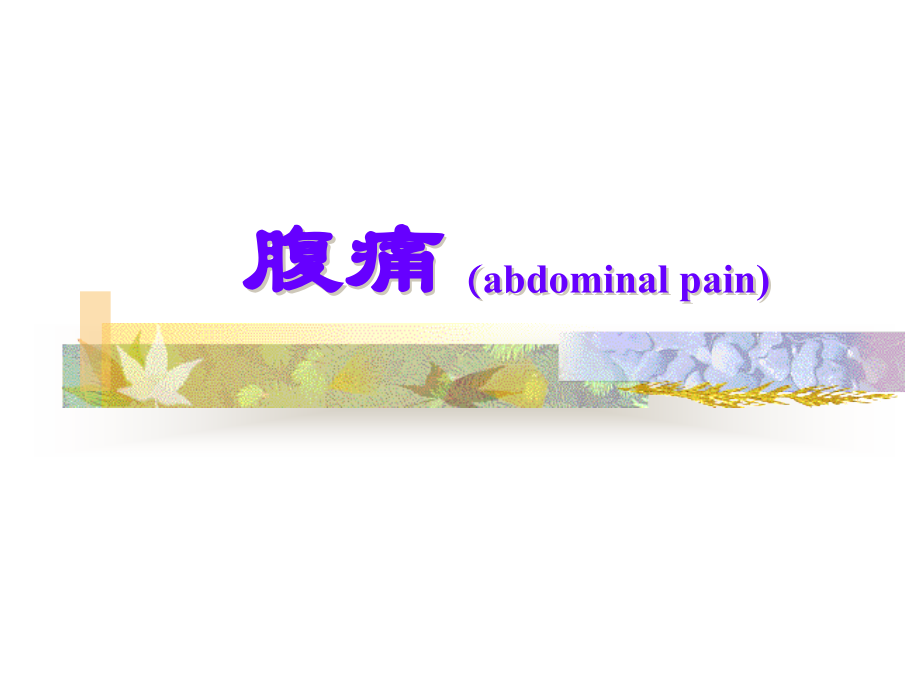腹痛(abdominal-pain)课件.ppt_第1页