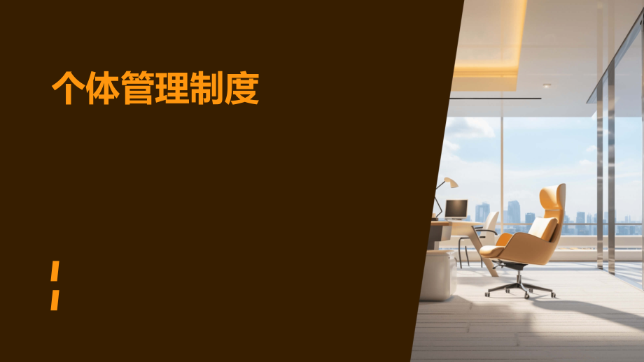 个体管理制度.pptx_第1页