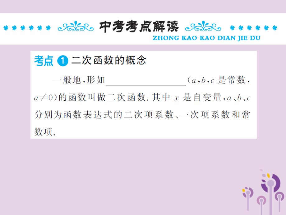 中考数学总复习 第三章 第四节 二次函数的图象与性质课件.ppt_第2页